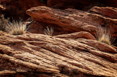 Red Cliffs National Conservation Area, AZ