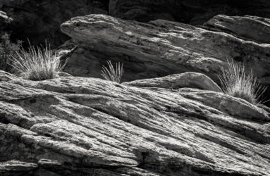 Red Cliffs National Conservation Area, AZ